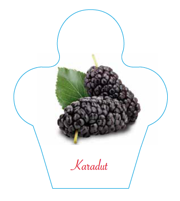Dondurma İsimlik Karadut