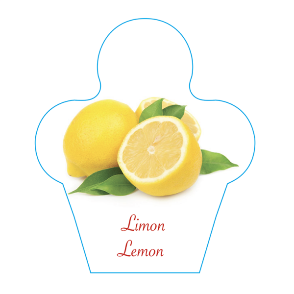 Dondurma İsimlik Limon
