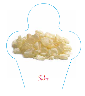 Dondurma İsimlik Sakız