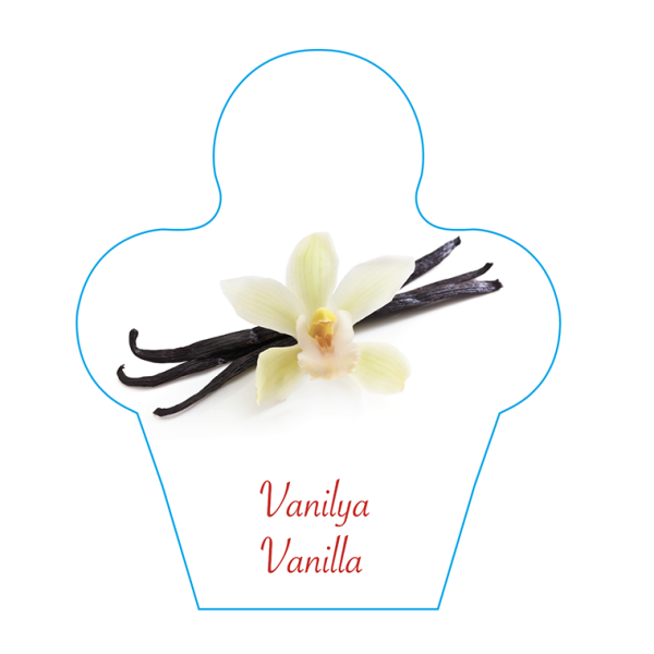 Dondurma İsimlik Vanilya