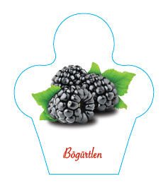 Dondurma İsimlik Böğürtlen