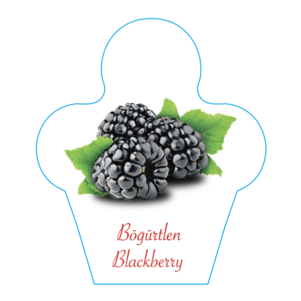 Dondurma İsimlik Böğürtlen