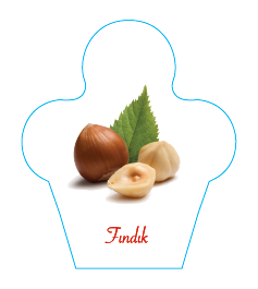 Dondurma İsimlik Fındık