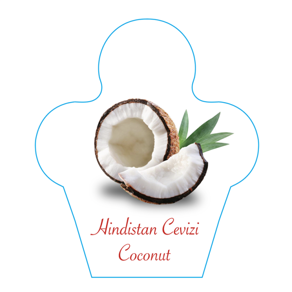 Dondurma İsimlik Hindistan Cevizi