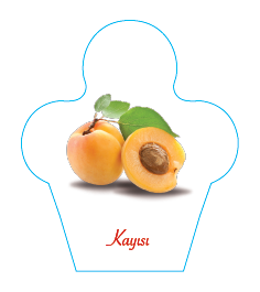 Dondurma İsimlik Kayısı