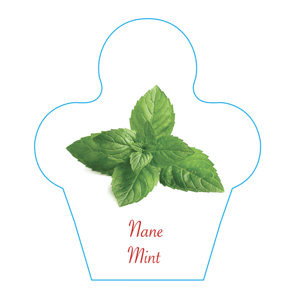 Dondurma İsimlik Nane