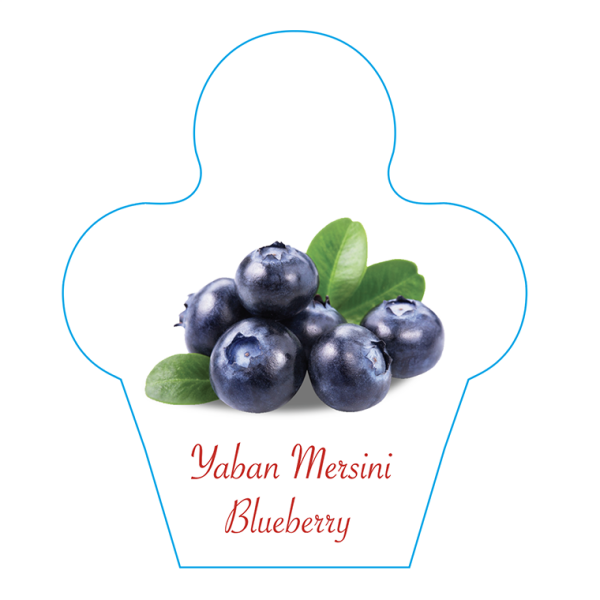 Dondurma İsimlik Yaban Mersini